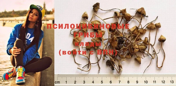 бутират Михайлов