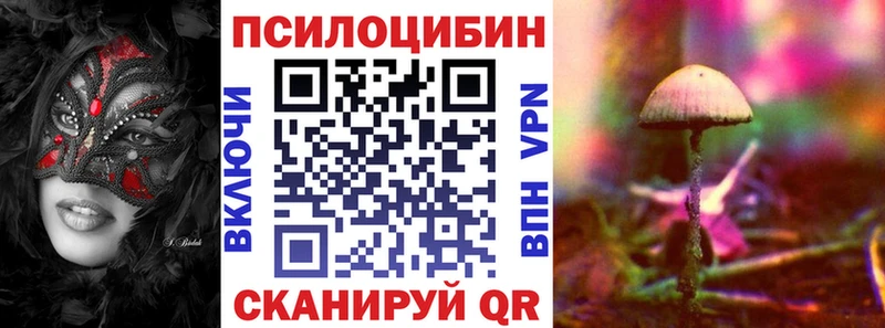 Галлюциногенные грибы Psilocybine cubensis  где найти   Норильск 
