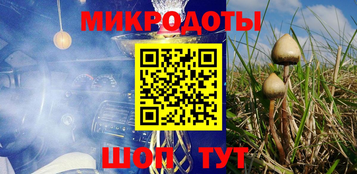 Норильск  Галлюциногенные грибы Psilocybe  Вход с VPN 